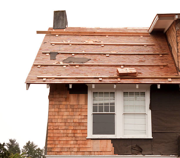 Best Historical Building Siding Restoration  in Wanatah, IN